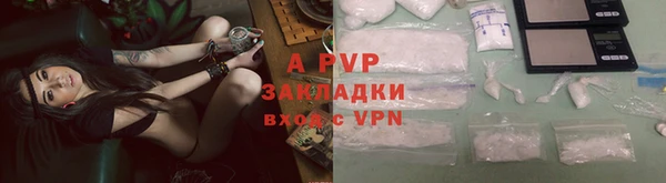 ГАЛЛЮЦИНОГЕННЫЕ ГРИБЫ Грязовец