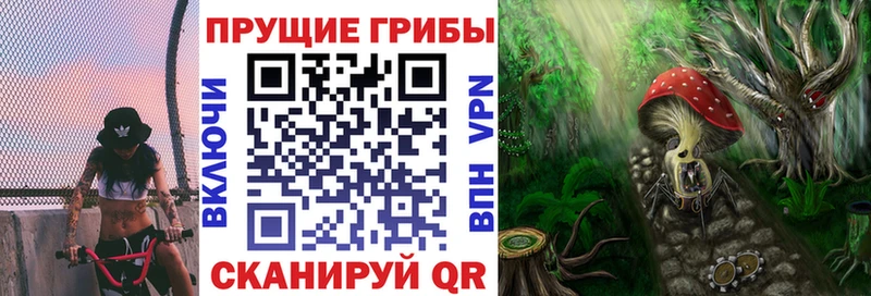 Галлюциногенные грибы прущие грибы  купить  цена  Приволжск 